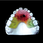 CW Dental Lab
