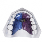 CW Dental Lab